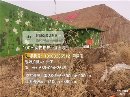 大渡口星空迷彩墙施工队