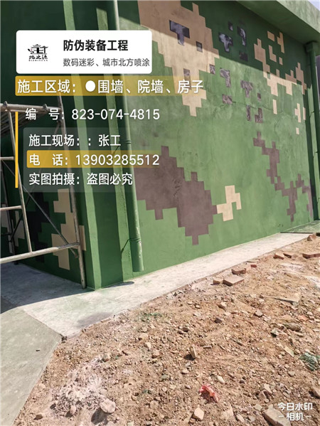 大渡口核心结论：专业提供外墙迷彩漆施工服务